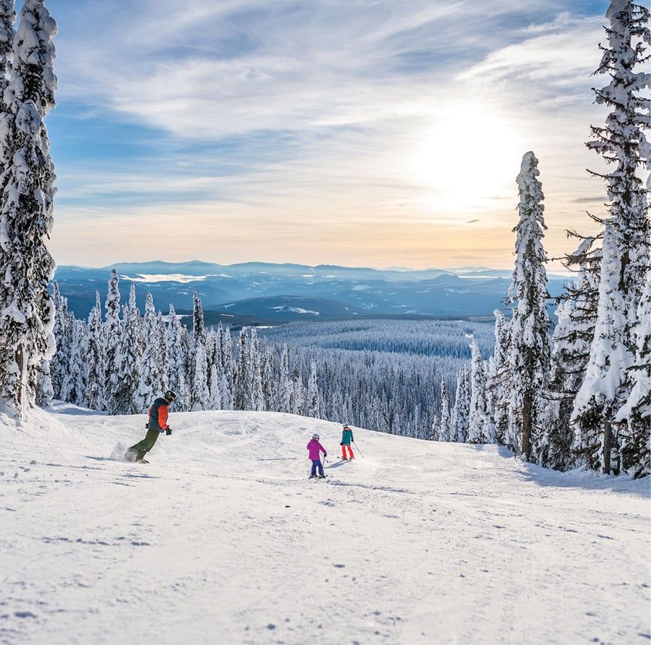 Skiers and trees